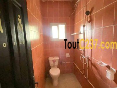 #studio staffé à louer à akwa