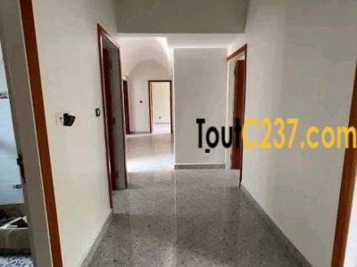#Duplex haut standing à louer à #Bonapriso