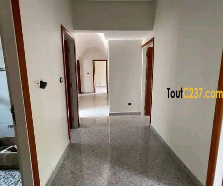 #Duplex haut standing à louer à #Bonapriso