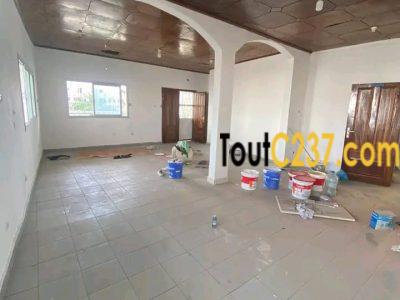 #Appartement à louer à bonapriso
