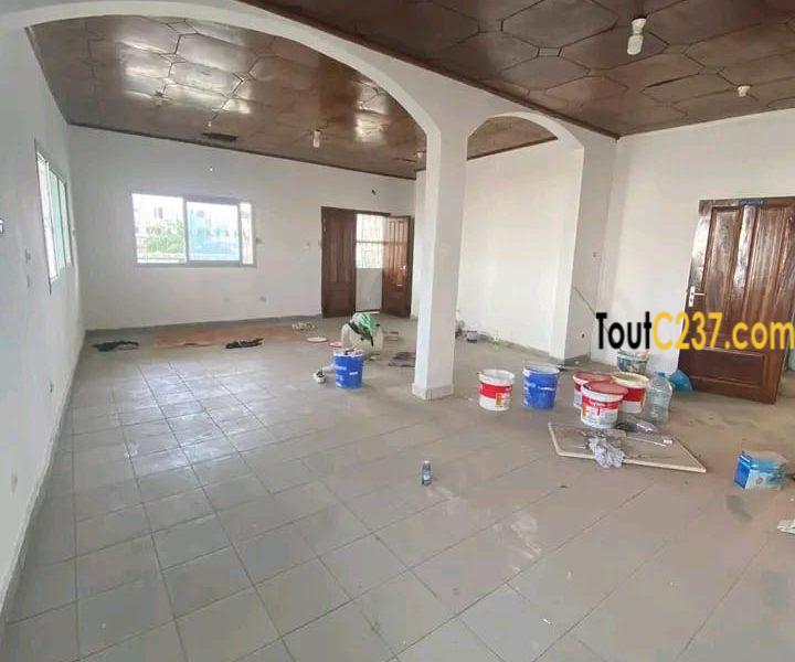 #Appartement à louer à bonapriso