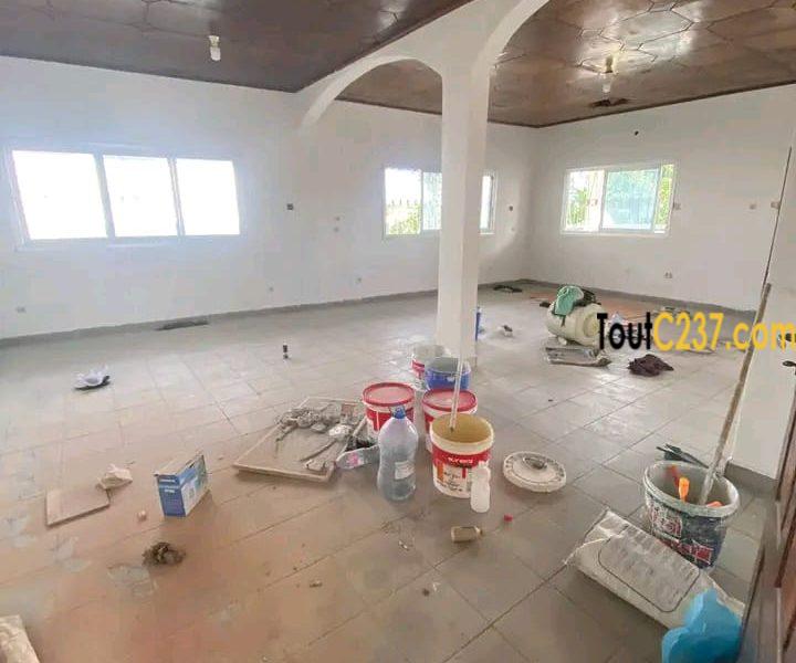 #Appartement à louer à bonapriso