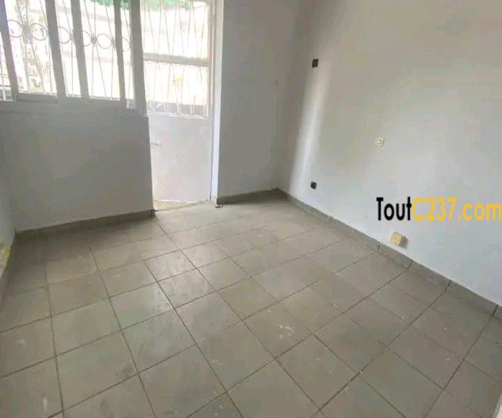 #Appartement à louer à bonapriso