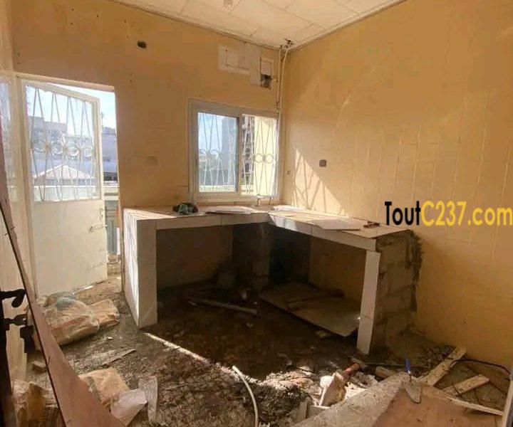 #Appartement à louer à bonapriso