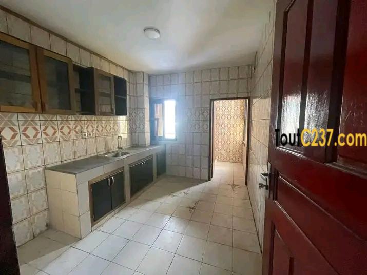 Appartement à louer à Bonapriso