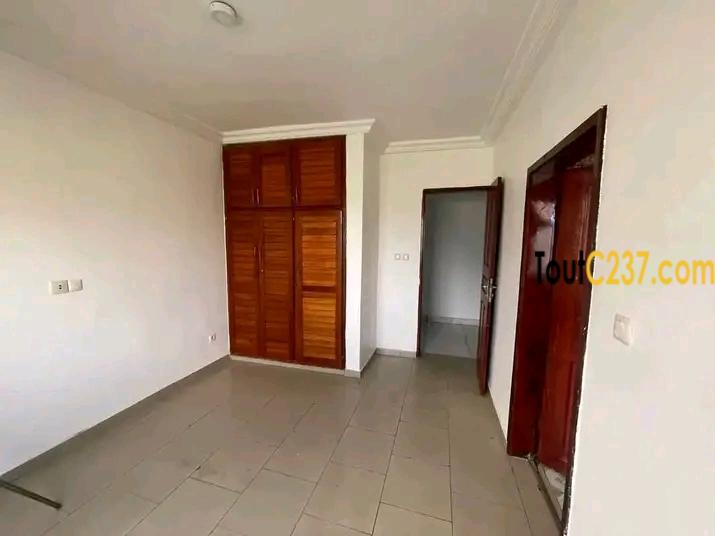 Appartement à louer à Bonapriso