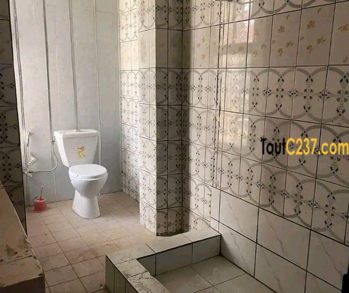 Appartement à louer à Bonapriso
