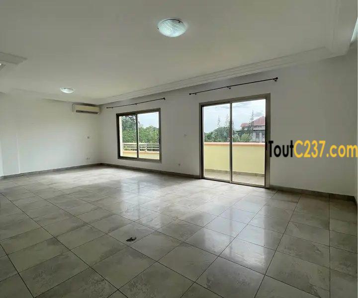Appartement haut standing à louer à Bonamoussadi