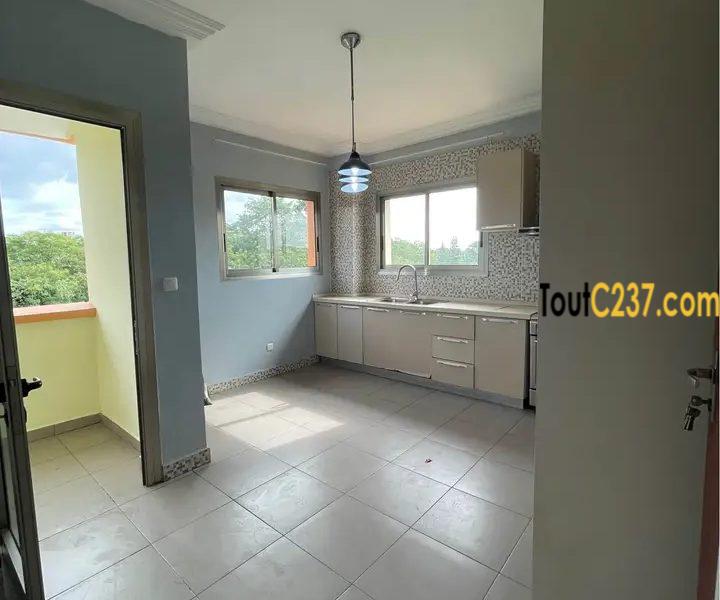 Appartement haut standing à louer à Bonamoussadi