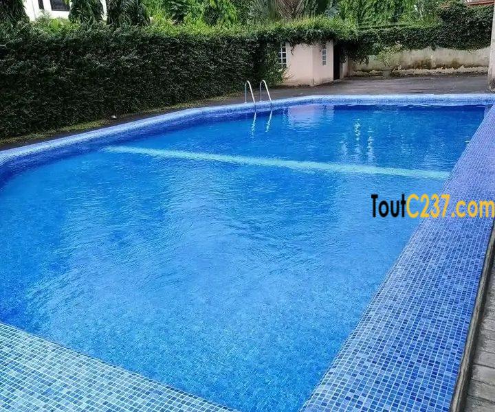 Appartement haut standing à louer à Bonamoussadi