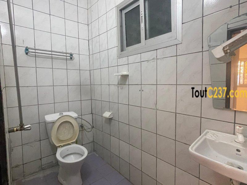 Appartement à louer à Bonamoussadi, Douala