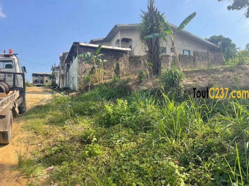 Terrain à vendre à Logbessou (Ecole Simo)