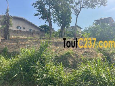 Terrain à vendre à Logbessou (Ecole Simo)