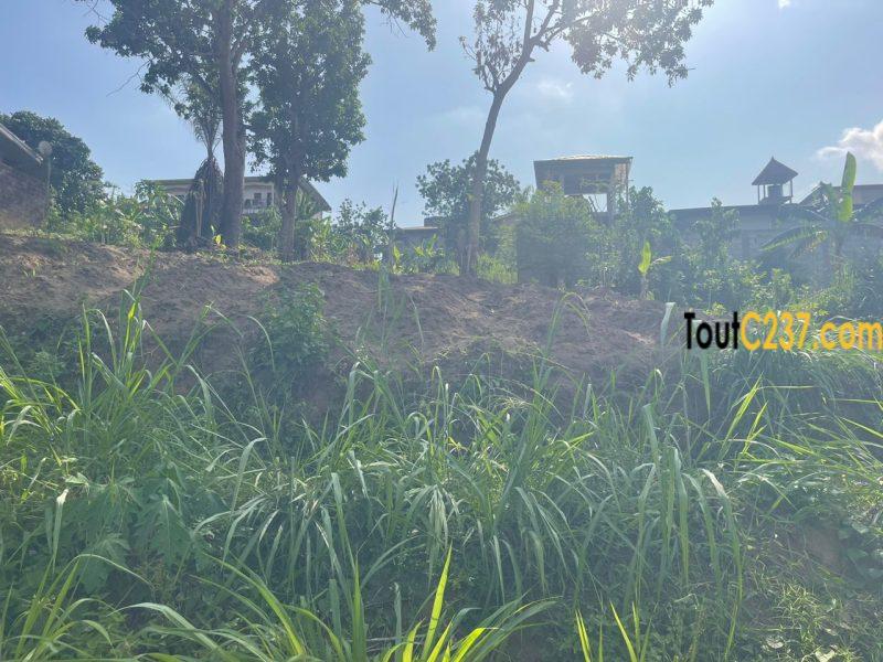 Terrain à vendre à Logbessou (Ecole Simo)