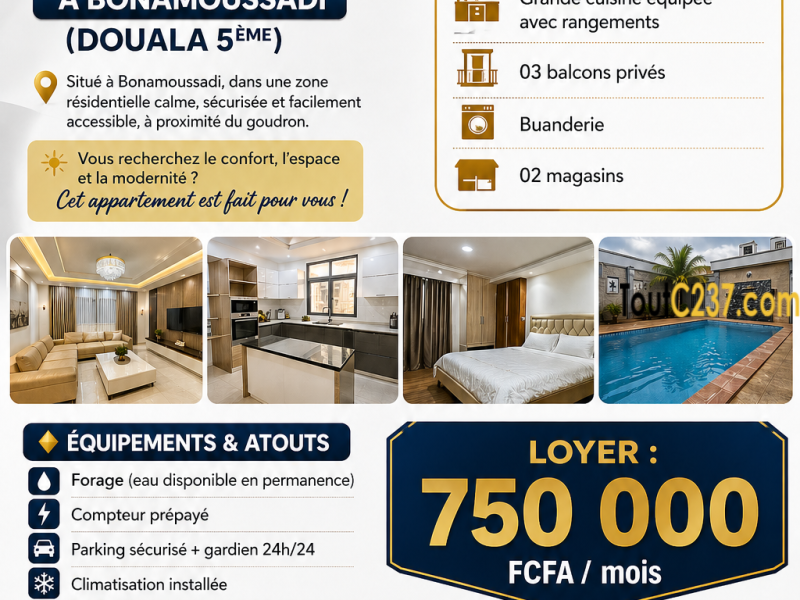 Appartement haut standing à louer à Bonamoussadi