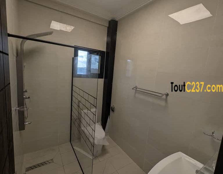 Appartement haut standing à louer à Grand Mall, Douala
