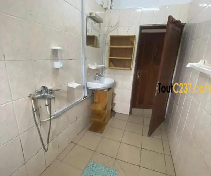 Appartement a louer à Bonanjo
