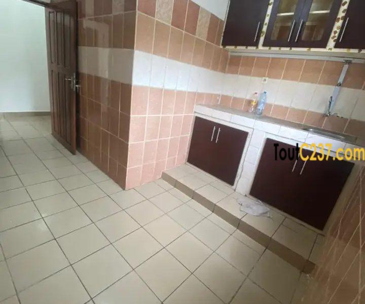 Appartement a louer à Bonanjo