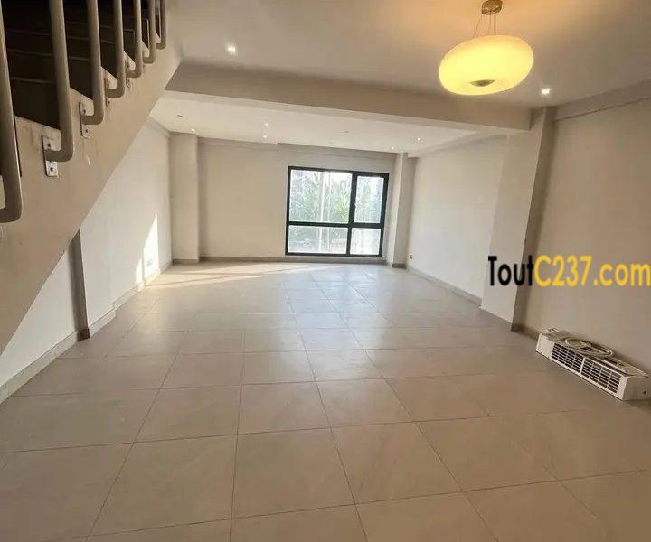 3 Appartements en duplex à louer à Bonapriso, Douala