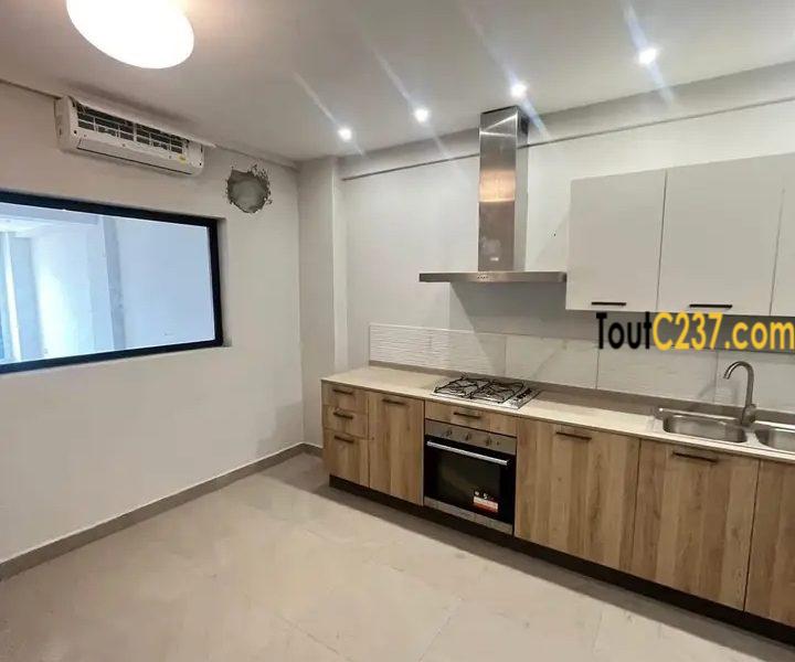3 Appartements en duplex à louer à Bonapriso, Douala