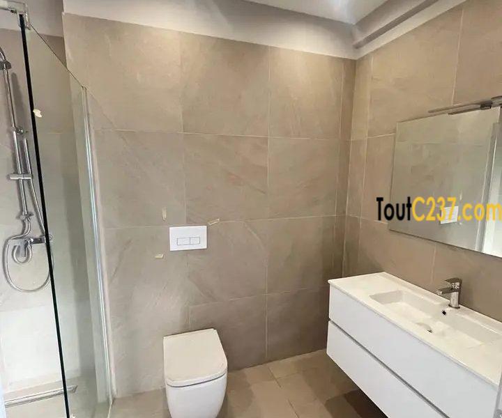 3 Appartements en duplex à louer à Bonapriso, Douala