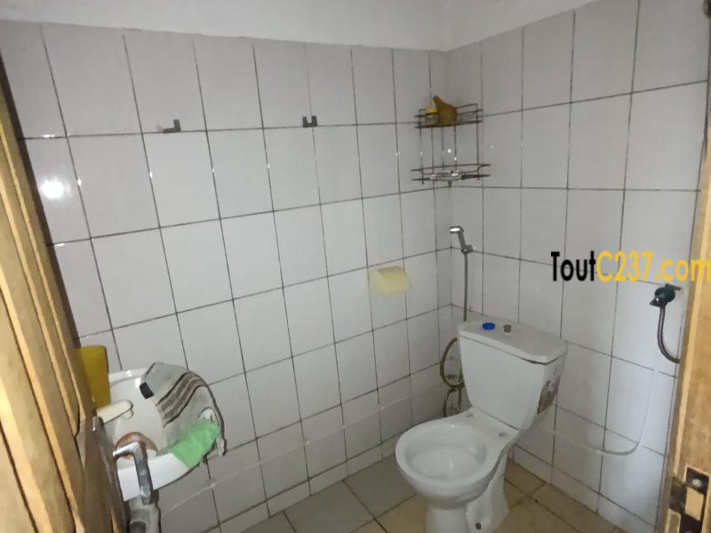 Duplex à Louer à Kotto Douala