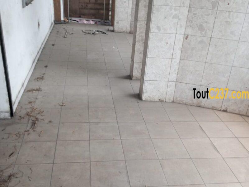 Duplex à louer à Bonapriso Douala