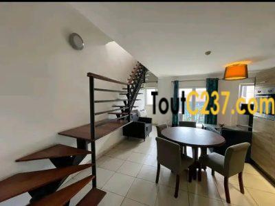 Studio en duplex à louer à Bonapriso