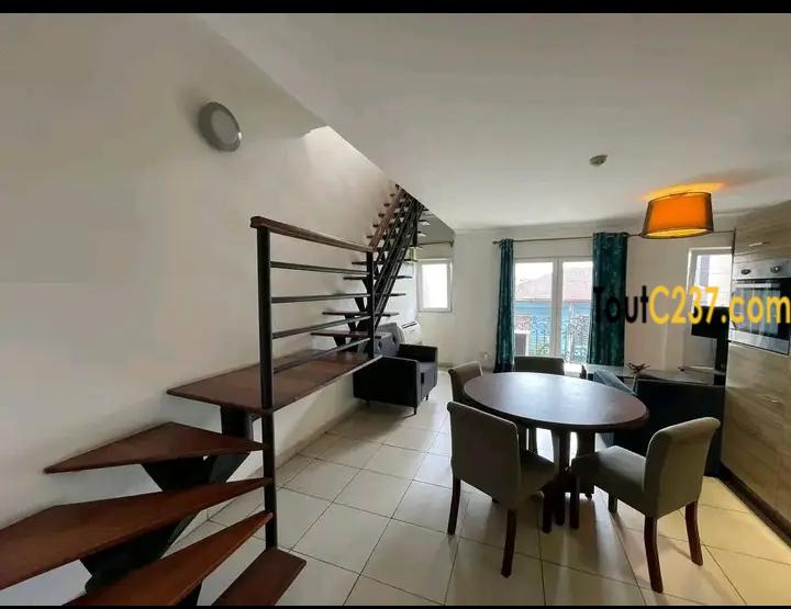 Studio en duplex à louer à Bonapriso