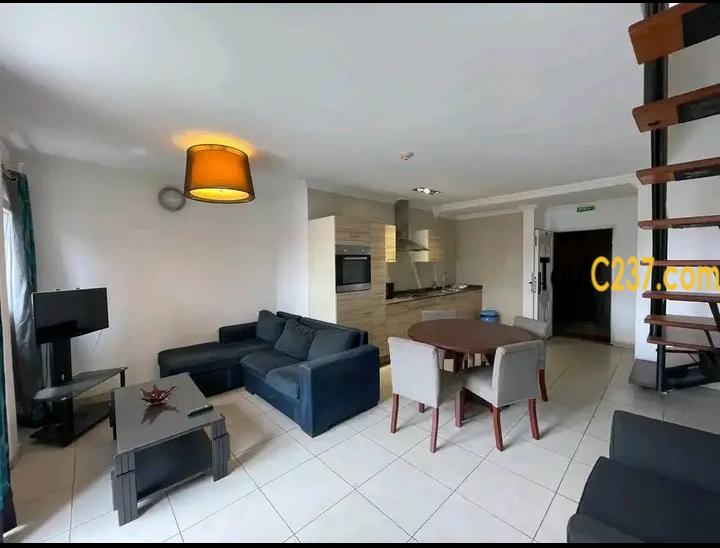 Studio en duplex à louer à Bonapriso