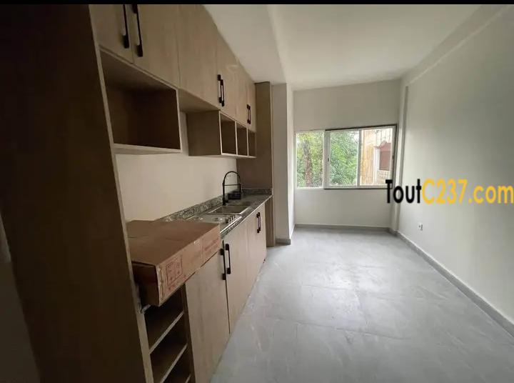 Appartement haut standing à louer à Bonapriso Douala