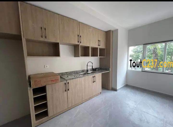 Appartement haut standing à louer à Bonapriso Douala