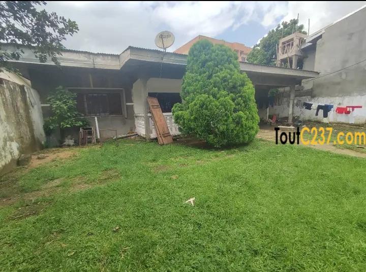 Villa à louer à Logpom Douala