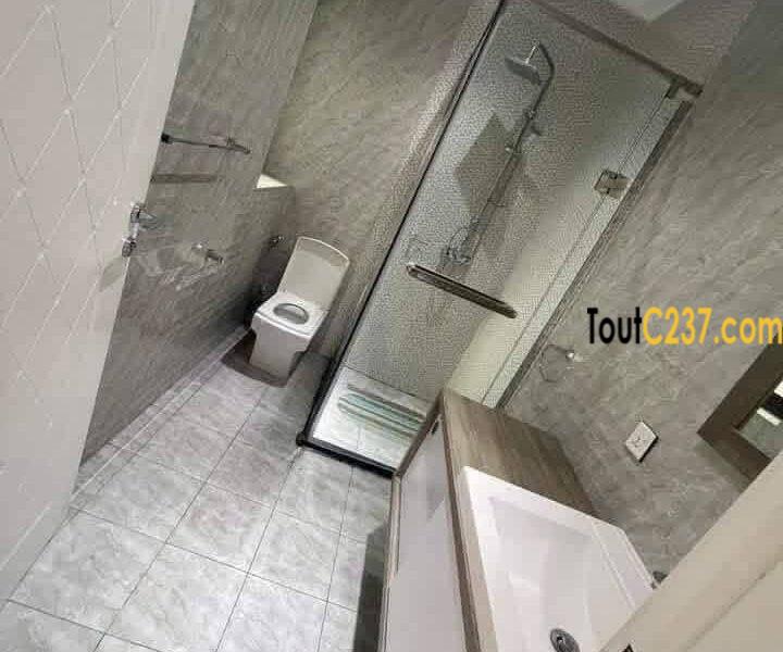 Appartement haut standing à louer à Bonapriso Douala