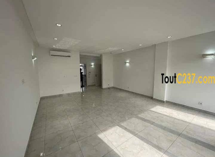 Appartement haut standing à louer à Bonapriso Douala