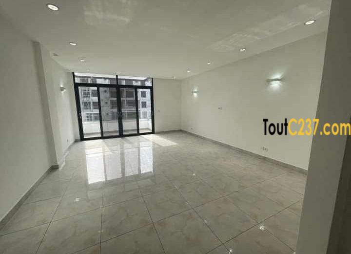 Appartement haut standing à louer à Bonapriso Douala
