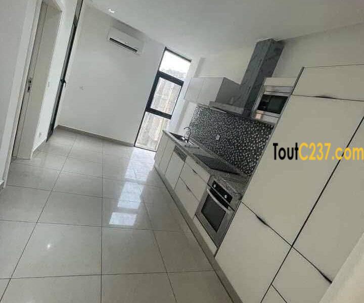 Appartement haut standing à louer à Bonapriso Douala