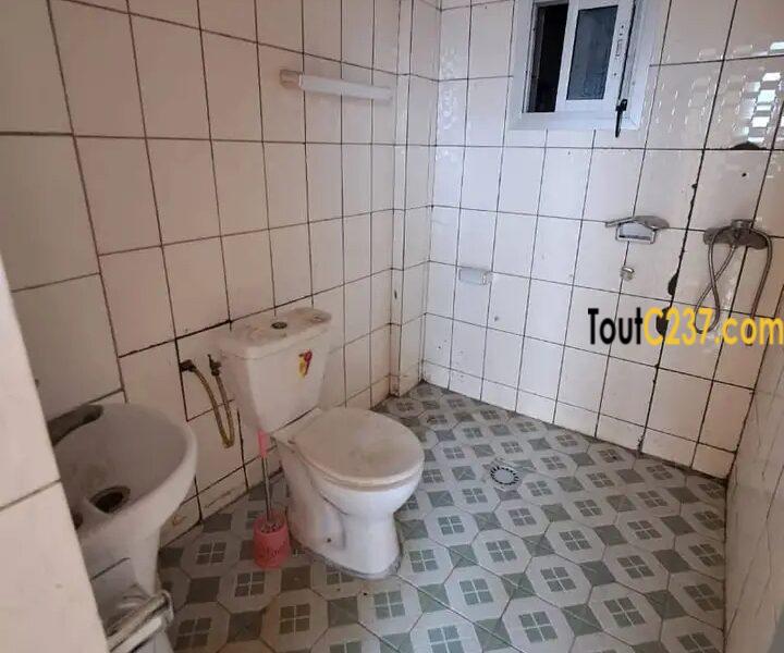 Appartement à louer à Bonapriso Douala