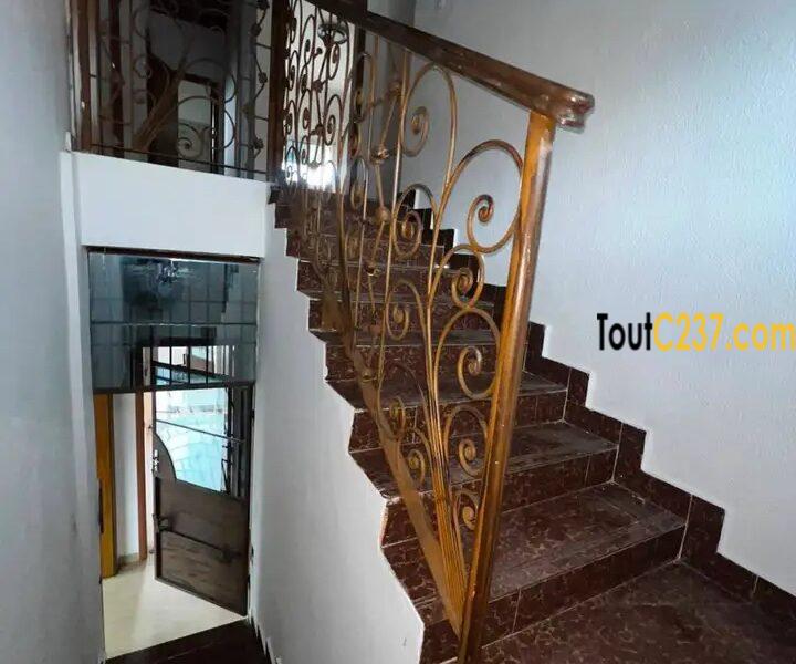 Appartement en duplex à louer à Bonapriso