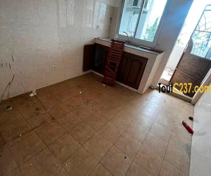 Appartement en duplex à louer à Bonapriso