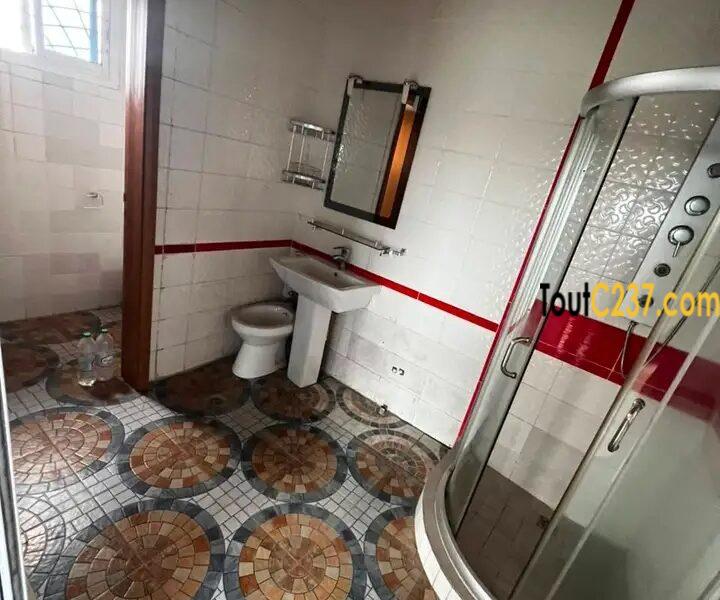 Appartement en duplex à louer à Bonapriso