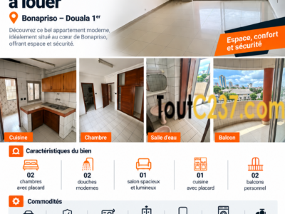 Appartement à louer à Bonapriso Douala