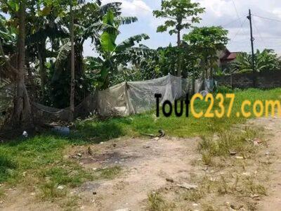 Terrain à vendre à ndopassi, Douala