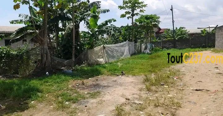 Terrain à vendre à ndopassi, Douala