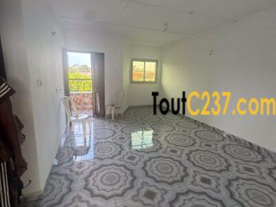 Appartement à louer à Bonamoussadi