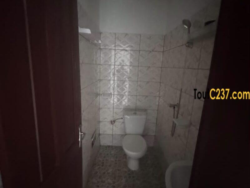 Appartement à louer à Bonamoussadi