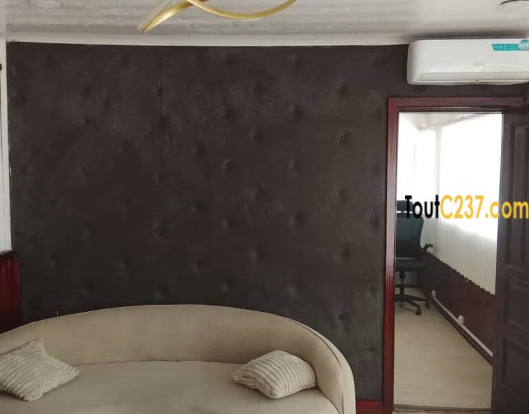 Studio pour bureau à louer à Akwa, Douala