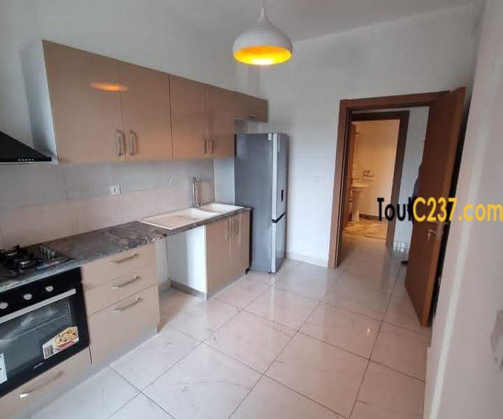 Appartement de 3 chambres à louer à Bonapriso, Douala