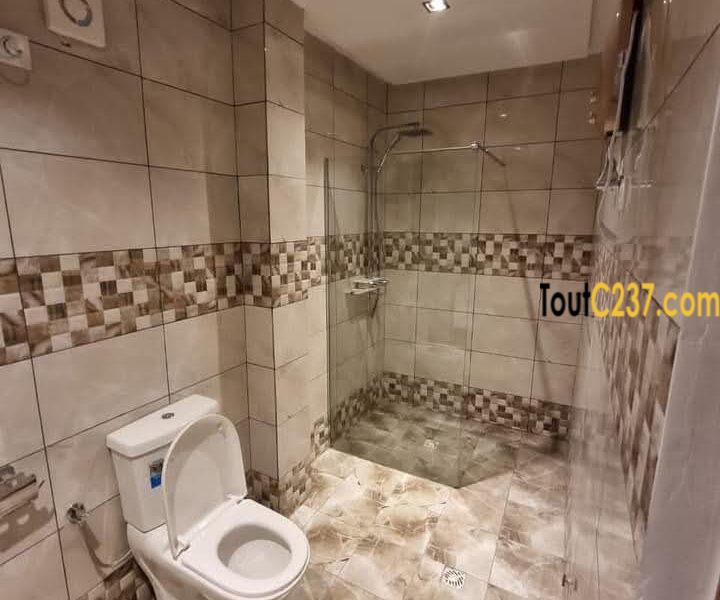 Appartement de 3 chambres à louer à Bonapriso, Douala