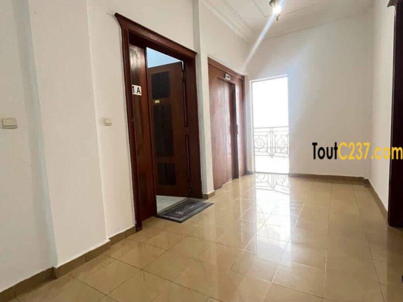 Appartement de 3 chambres à louer à Bonapriso, Douala